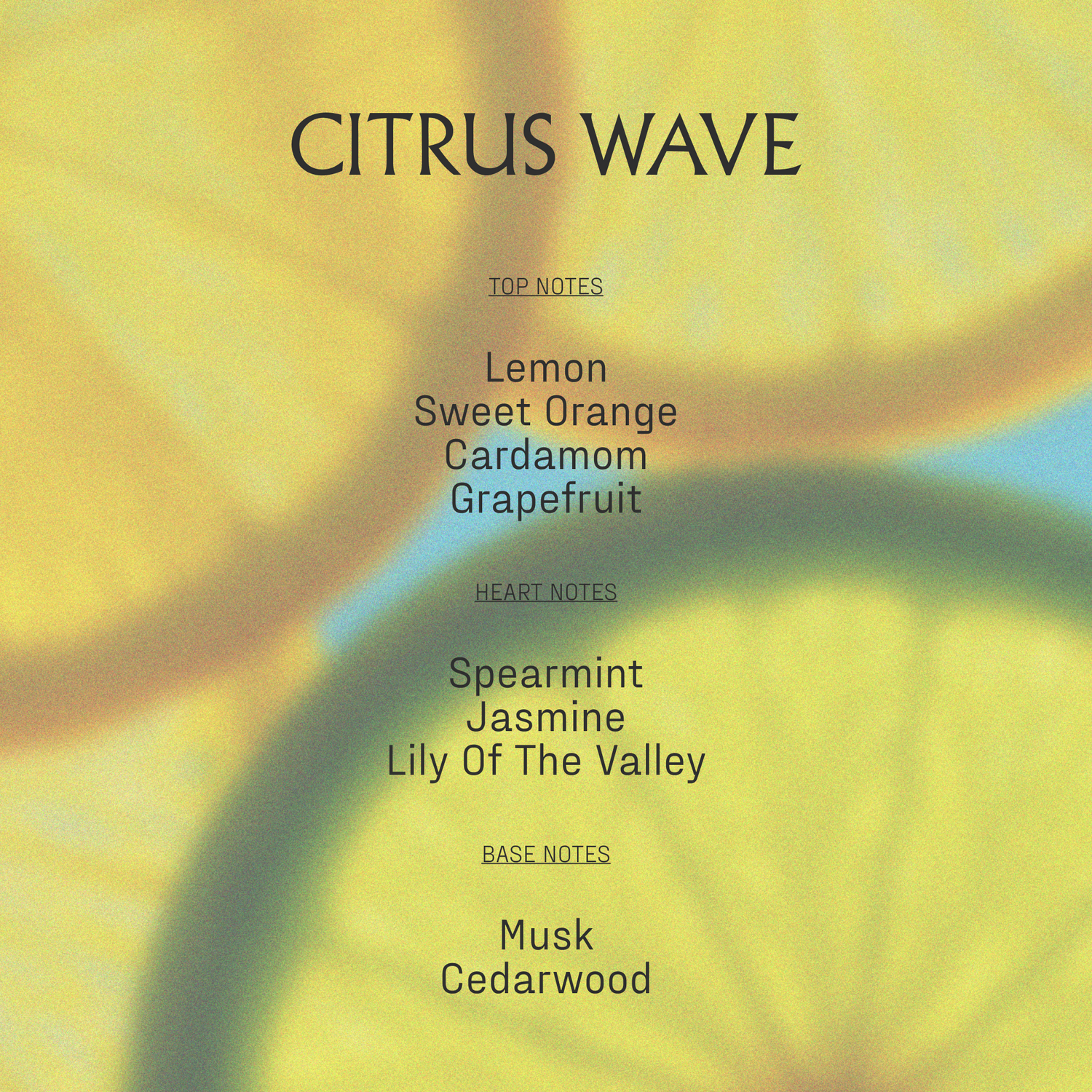 Dry Body Oil | Citrus Wave