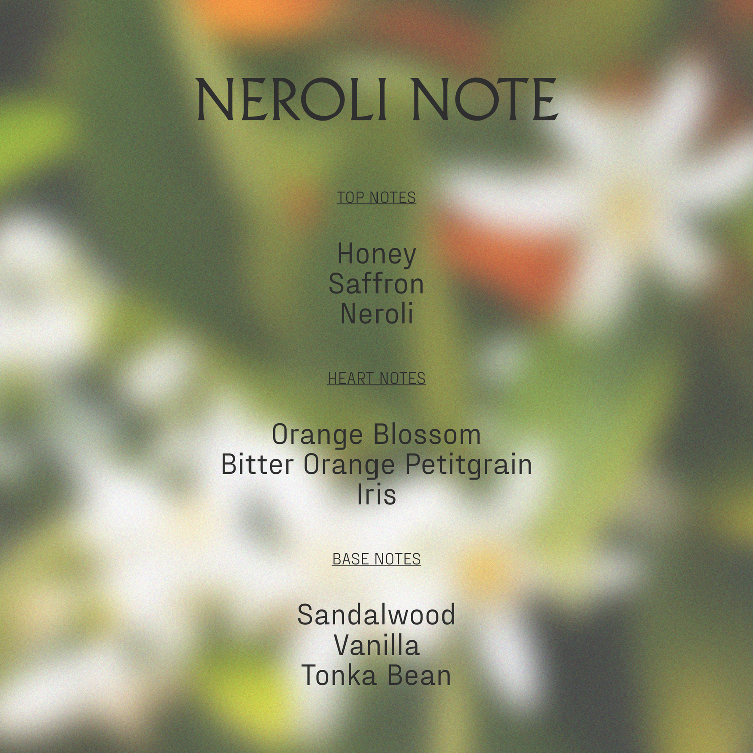 Body Wash | Neroli Note