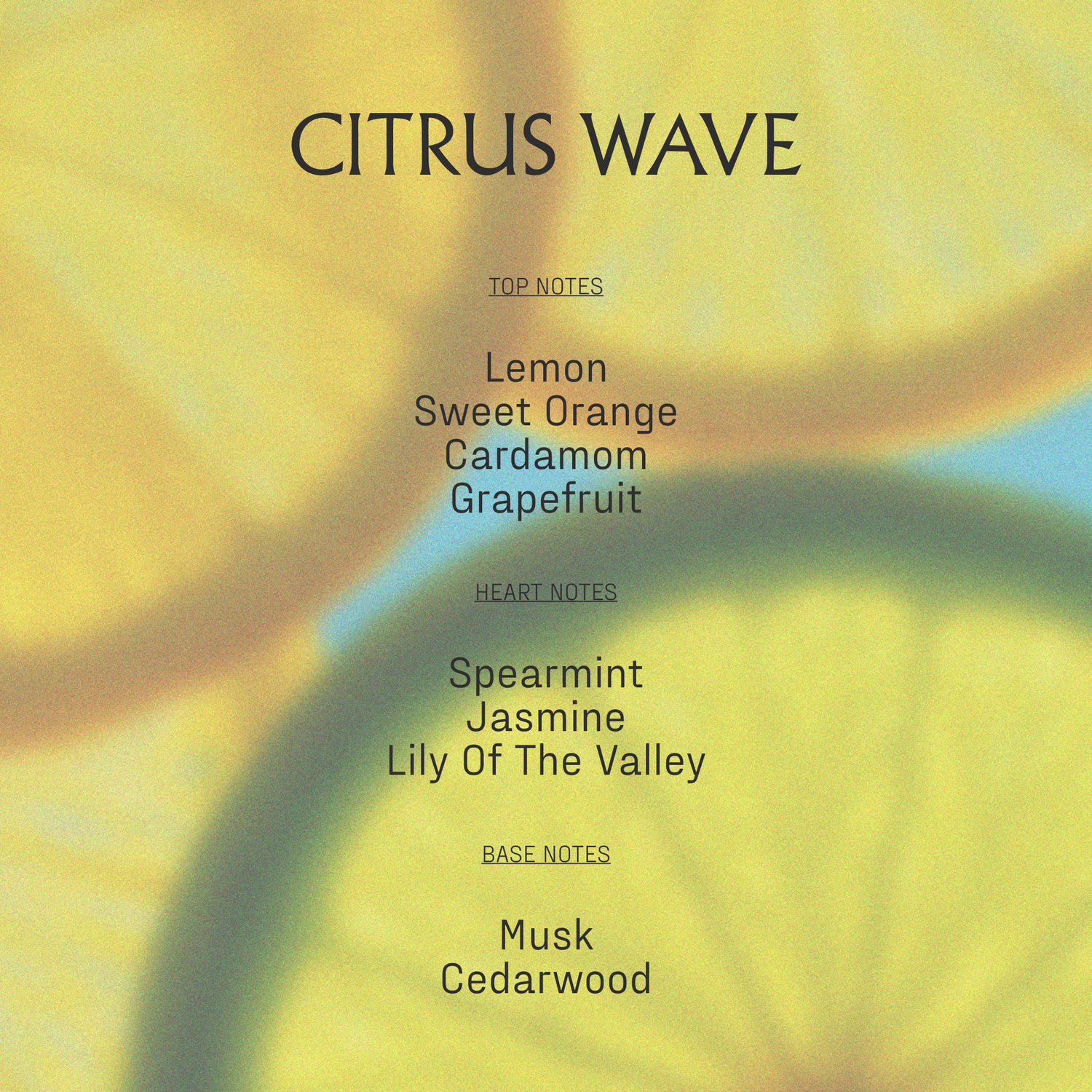 Hydrating Body Duo | Citrus Wave